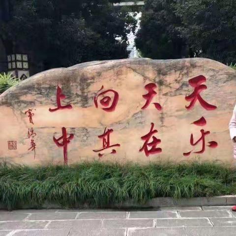 208班的督学之旅