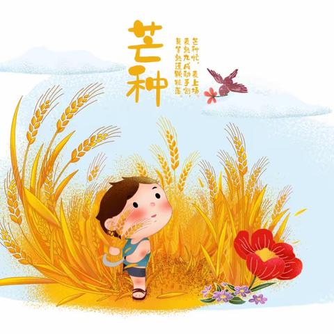 【中华24节气之芒种】———实验幼儿园爱心园区大二班芒种节气主题活动