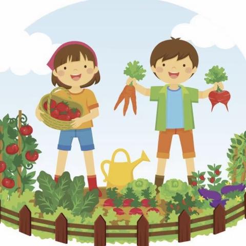 我们👫的小菜园🥒（一）——实验幼儿园爱心园区大二班开展种植园主题活动