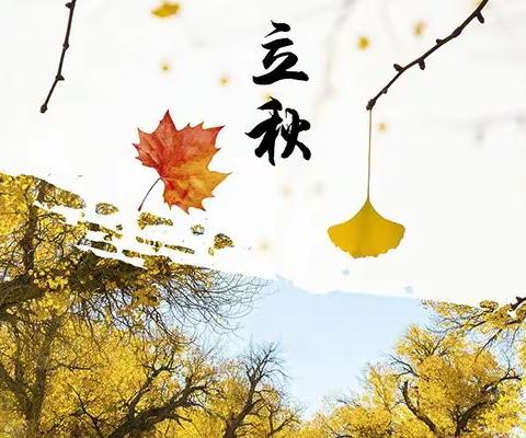 【中华二十四节气之立秋】——实验幼儿园爱心园区大二班立秋节气主题活动