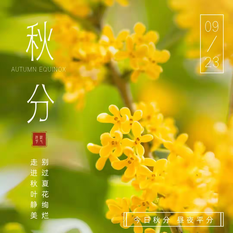 【中华二十四节气之秋分】——实验幼儿园爱心园区小一班秋分节气主题活动