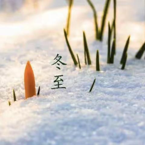 【中华二十四节气之冬至】——实验幼儿园爱心园区小一班冬至节气主题活动