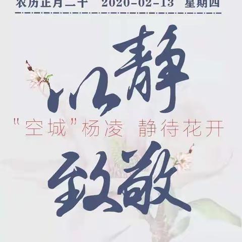 这个春天，我们以“静”致敬