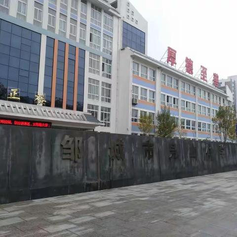 观摩济宁市小学道德与法治优质课比赛心得体会