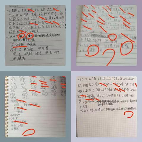 七二级部——周末自检，赢在自律