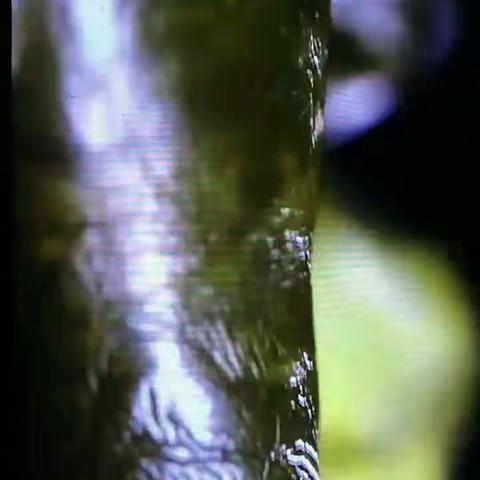 鸡肉的鲜味，同时含有三种鲜味物质。