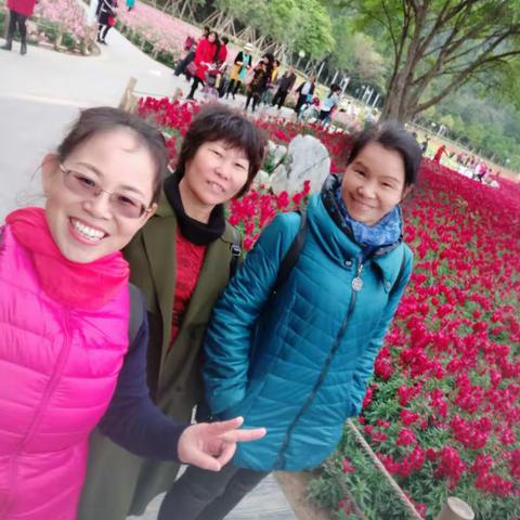 20190225游顺峰山公园(一)