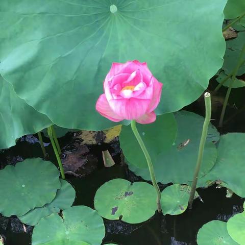 不要过早的把自己消耗掉