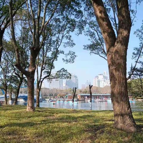 上海世纪公园一瞥2