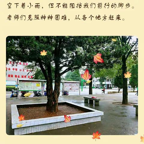 不经历风雨，怎能见彩虹―“国培计划”，2018年衡山县中小学“送课下乡”（B202）成果展示活动。――杨辉