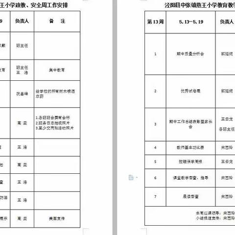 燕王小学第13周工作总结