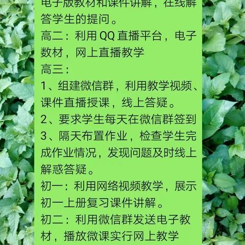 昌江矿区中学高中历史在线教学简记