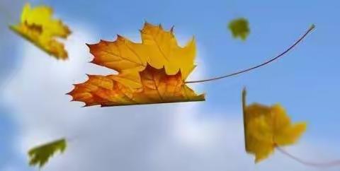 中五班秋游活动—你好，秋天！