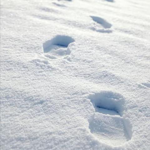 雪—冬爷爷送给我们最好的礼物