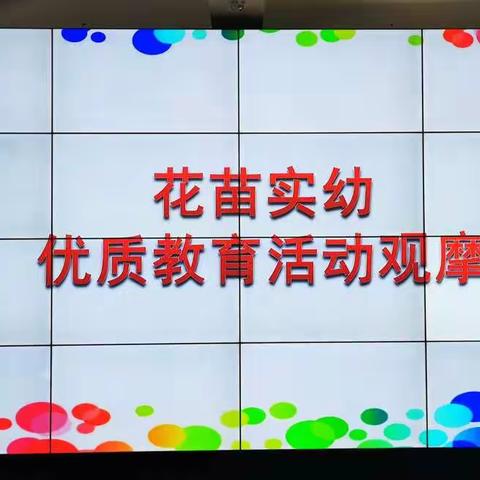 展教师风采 促共同成长——花苗实幼优质活动观摩