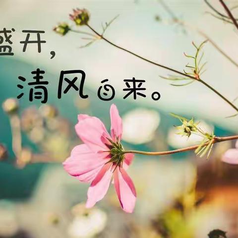 凝“新”聚力 助力“双减”——沙家店镇九年一贯制学校开展新任教师汇报课活动