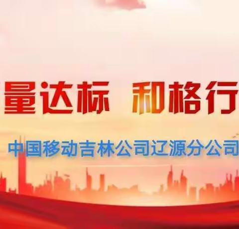 辽源分公司党委召开“质量达标 和格行动”主题实践活动专题会议