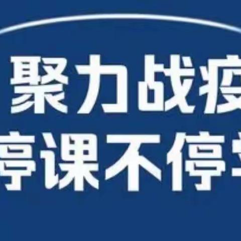 疫路线上施“双减”  云端课堂守初心