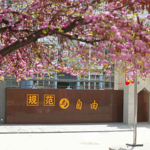 喜迎二十大，永远跟党走——西安惠安小学“名校+”教育联合体2022年暑假德育实践作业作品展