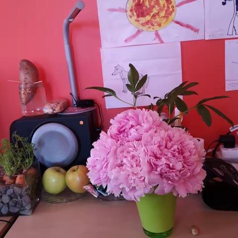 花儿🌻🌺🌸💐🍀🌿🌱🌾🍁