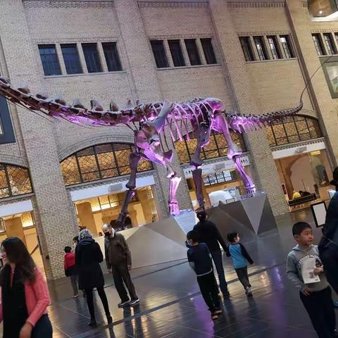 游览多伦多的博物馆，长知识2022.04.10.