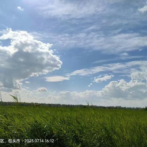 包头风景——赛汗塔拉湿地草原