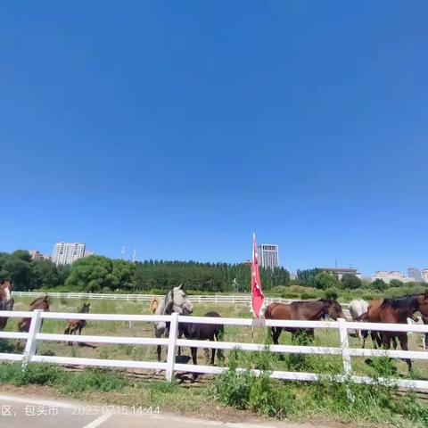 包头特色