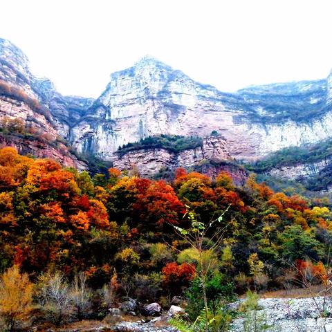 自然风景篇之---林州大峡谷