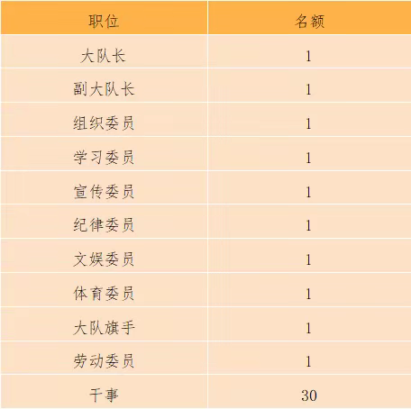 周南学士实验学校少先队大队委竞选方案