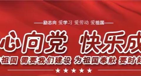 银宝湖乡青林小学——“童心向党，快乐六一”文艺汇演活动