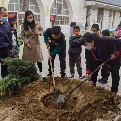 “树”你最美，绿动春天——孟岔小学植树活动