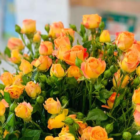 画来画趣周年庆活动·拉开帷幕