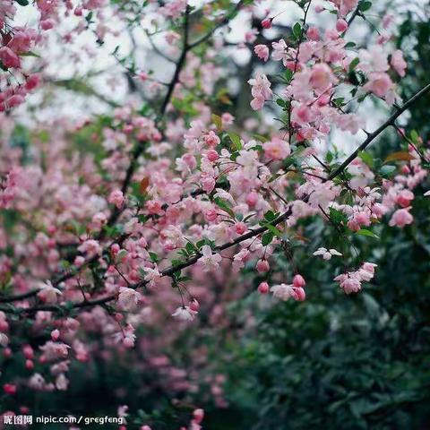 春暖花开正当时，家校联手促教学。