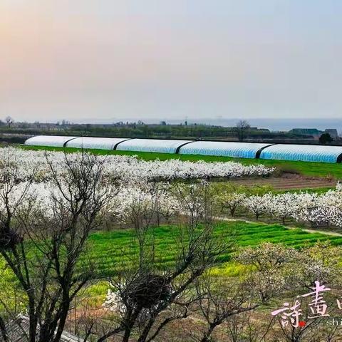 诗画田园 人勤春早