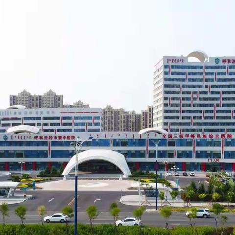 内蒙古医科大学第一附属蒙中医院蒙医骨伤中心近期蒙医整骨手法复位
