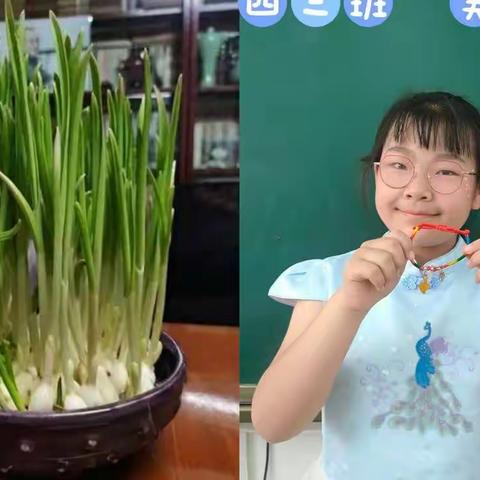 扬帆起航 遇见美好﻿