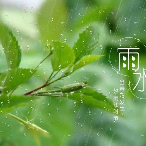 润物细无声 节气记心中——山旺镇杭山幼儿园雨水节气活动