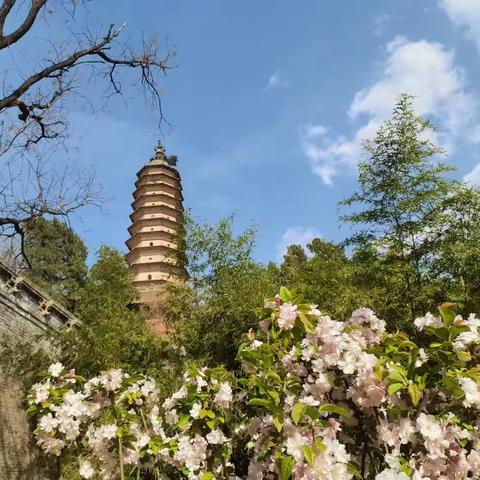 万年永固 —— 万固寺