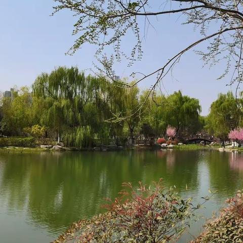 感受到唐韵的春风拂面