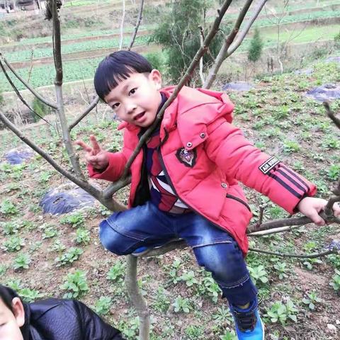 快乐生活的美篇