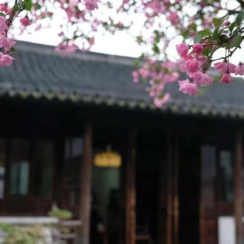 最美江南四月天