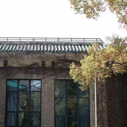 追随春天的脚步！武汉大学及其樱花；武汉东湖磨山樱花园。