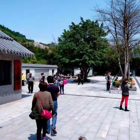 美丽宜居珠海一瞥    周日，珠海丽日蓝天，梅华路旁的香山驿站，石溪公园，吸引众多外出游玩的市民