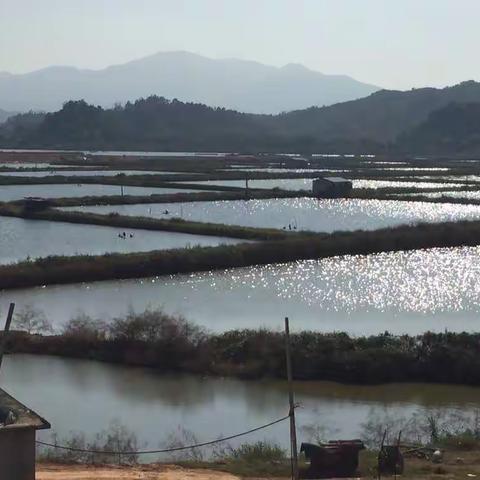 中学同学台山北陡休闲渡假