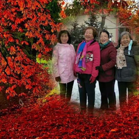 愿我们的生命充满阳光，开心快乐每一天！🌺🌺🌺