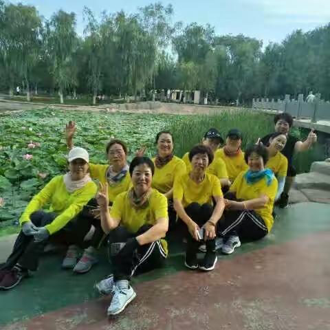 杨荷英的美篇