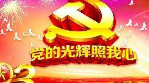 七一慰问老党员，组织真情暖人心