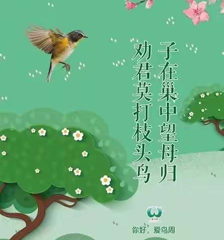 春暖花开季，守护飞羽时—实小龙江三年4班爱鸟周主题活动