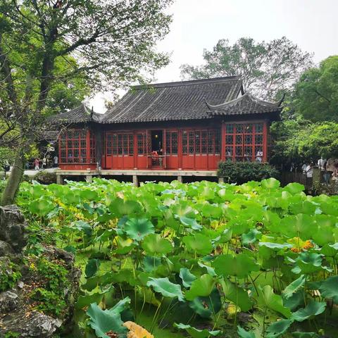 再下江南之秋游苏州