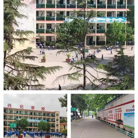 同课绽芳华，异教探匆匆—— 2025年春季学期白沙镇中心小学六年级语文组教研活动
